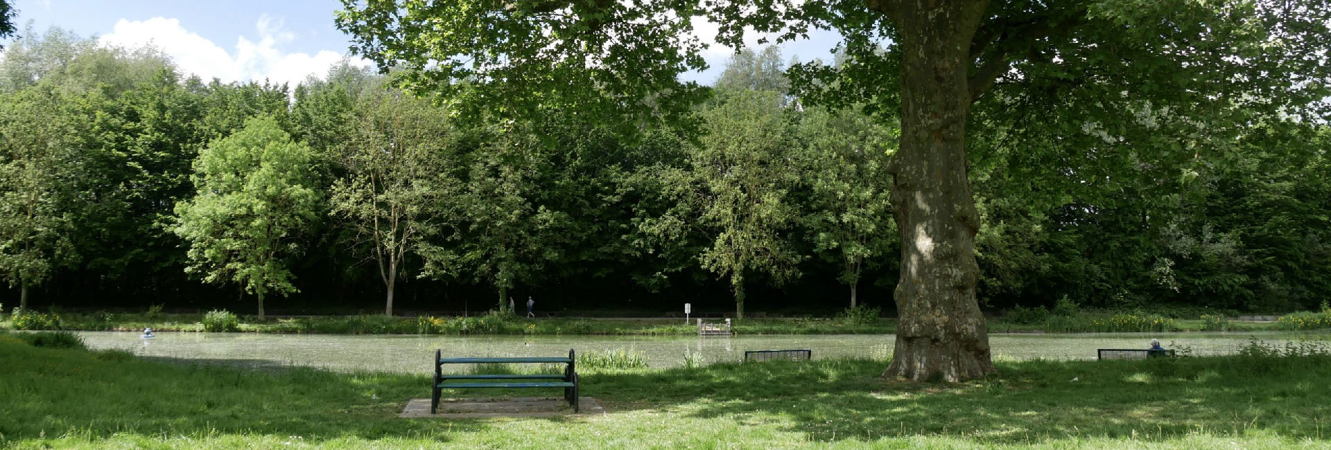 Une photographie du parc Fortier. À l'ombre d'un arbre, un banc attend le prochain passant qui viendra contempler le lac.